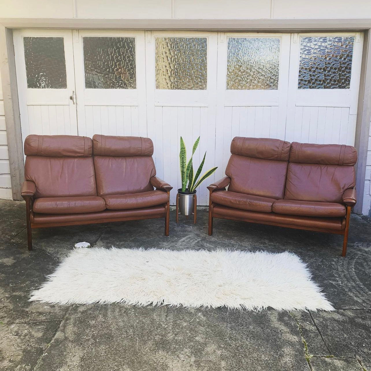 Mid Century Pair of Tessa T21, 2 Seater Couches in Genuine Leather, Designed by Fred Lowen, 60s Era