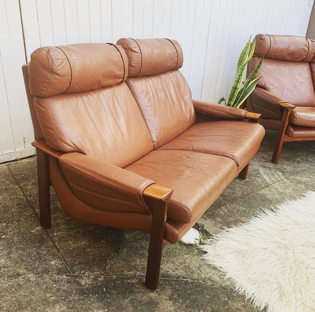 Mid Century Pair of Tessa T21, 2 Seater Couches in Genuine Leather, Designed by Fred Lowen, 60s Era