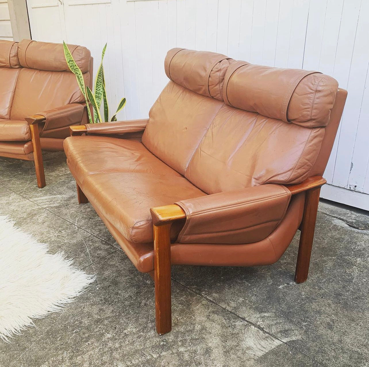 Mid Century Pair of Tessa T21, 2 Seater Couches in Genuine Leather, Designed by Fred Lowen, 60s Era