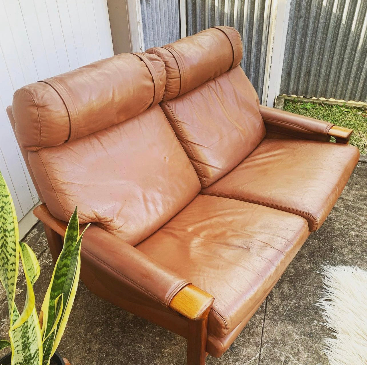 Mid Century Pair of Tessa T21, 2 Seater Couches in Genuine Leather, Designed by Fred Lowen, 60s Era