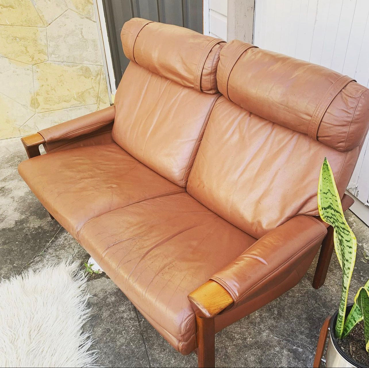 Mid Century Pair of Tessa T21, 2 Seater Couches in Genuine Leather, Designed by Fred Lowen, 60s Era