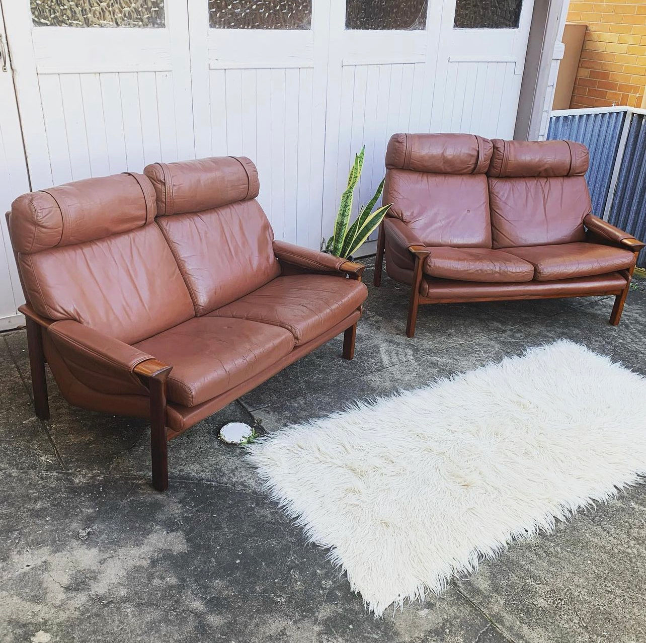 Mid Century Pair of Tessa T21, 2 Seater Couches in Genuine Leather, Designed by Fred Lowen, 60s Era